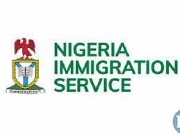 Nigeria Immigration extends 2020 recruitment deadline [How to apply] -  Daily Post Nigeria